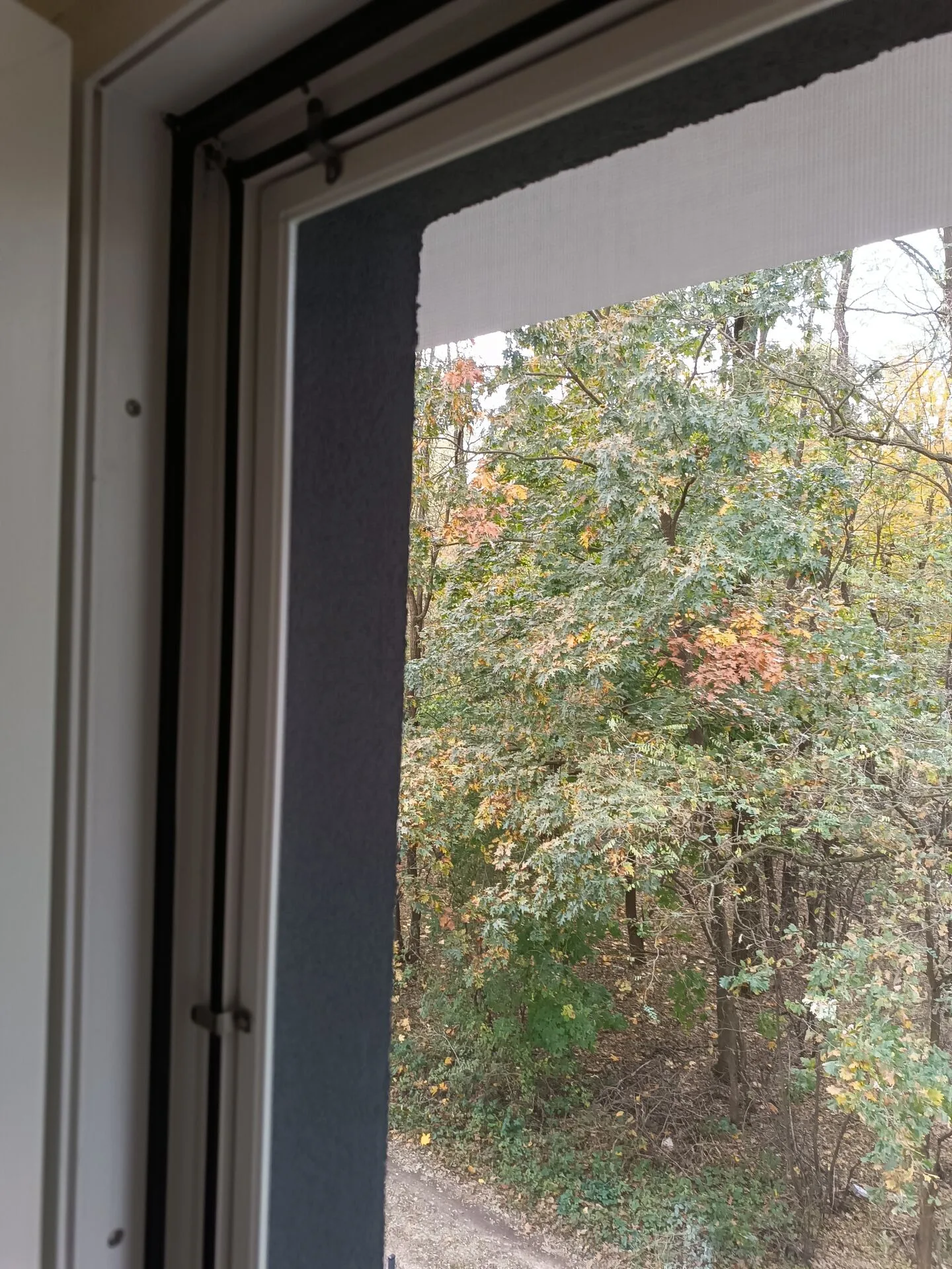 Czyszczenie moskitiery okiennej – porady