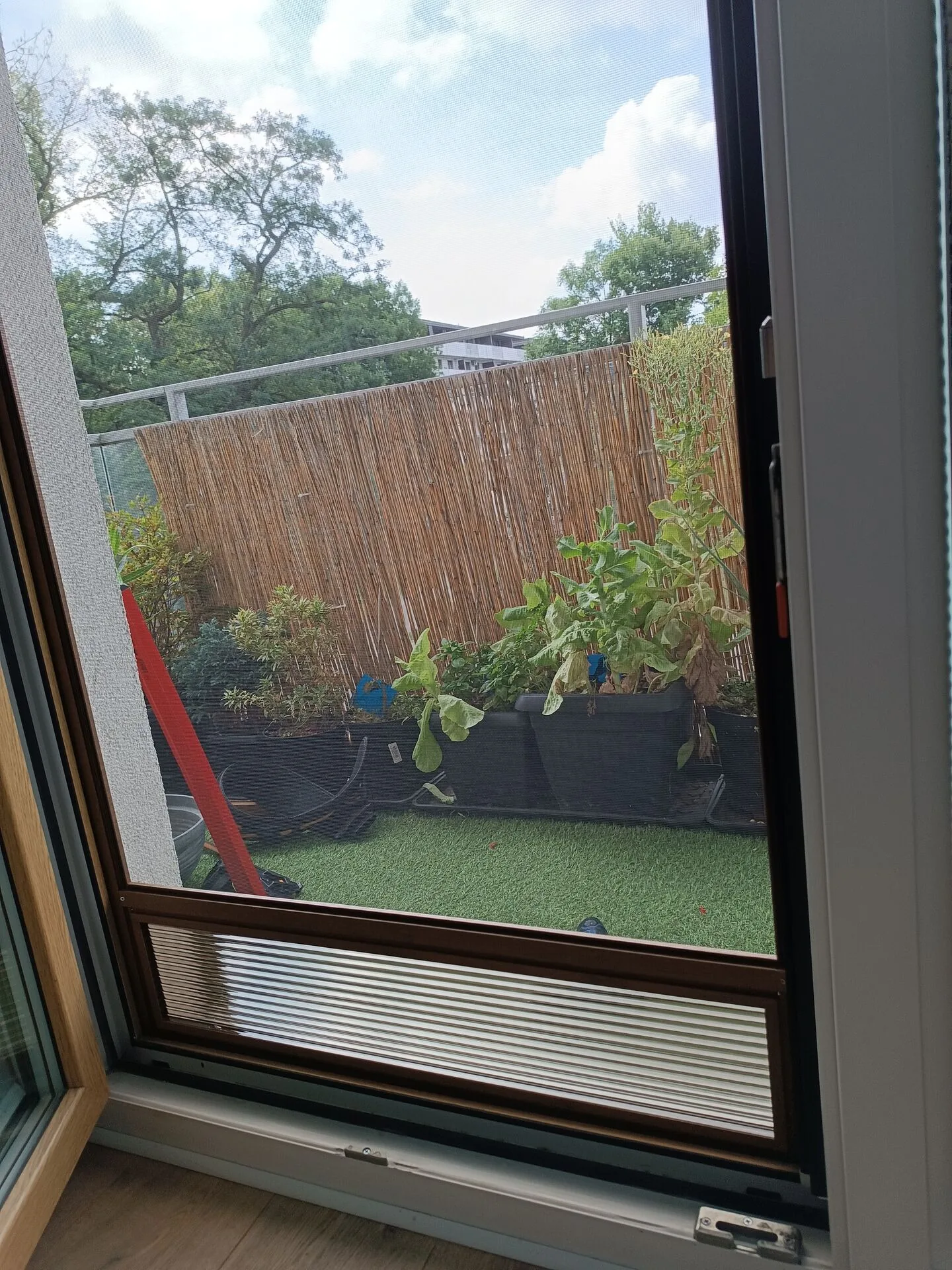 Drzwi moskitierowe Kraków – realizacja