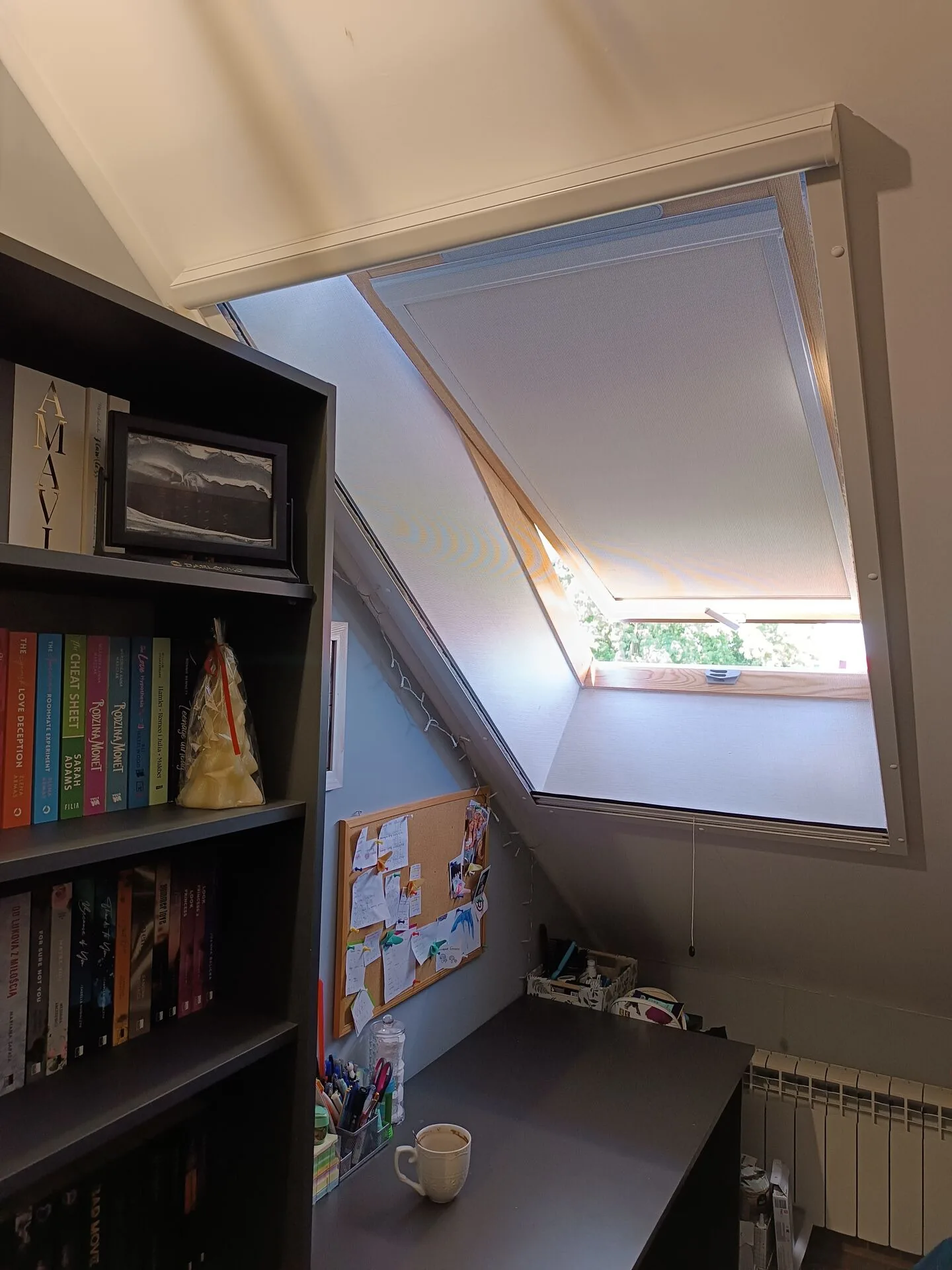 Montaż moskitiery rolowanej Kraków